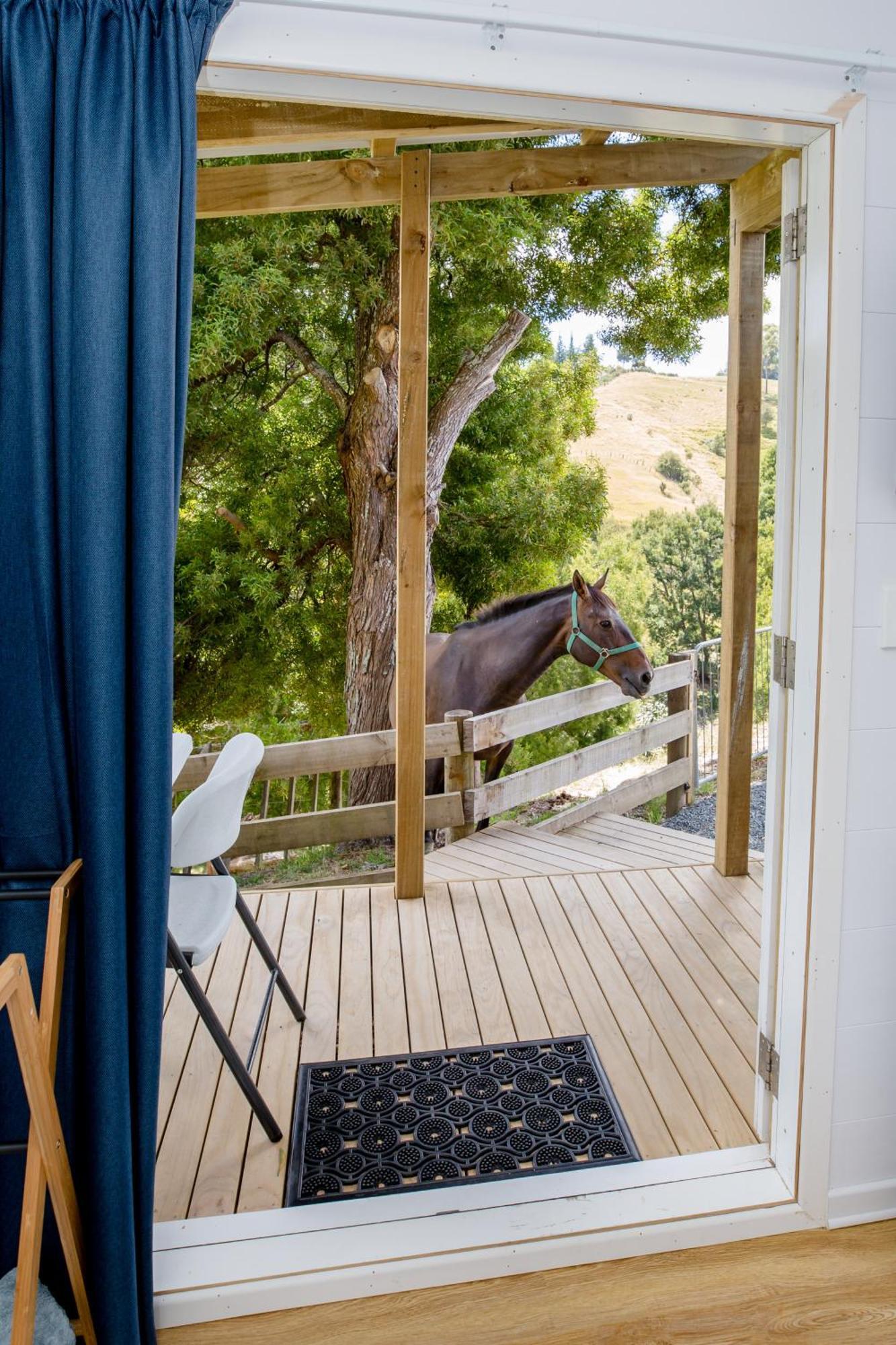 Private Cabin Close To The City Centre Фангареи Экстерьер фото